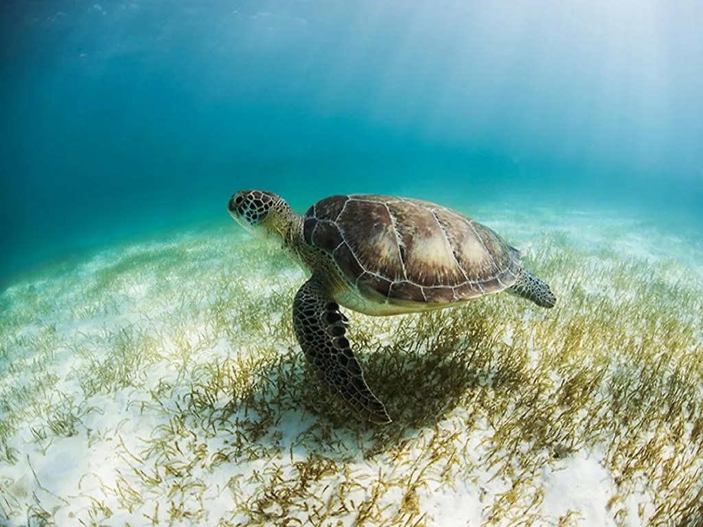 ***** Resort Secrets Akumal Riviera Maya - Adults Only Mexico